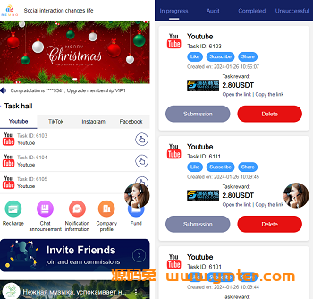 海外YouTube/tiktok任务接单返利系统,自动抢单平台源码,刷单系统搭建